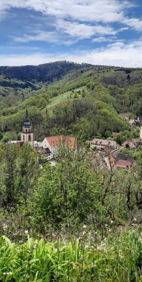 Gite A Andlau Exteriör bild